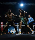 Champion du monde WBA Ibero Americain