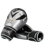 Gants de boxe ARGENT (compétition)