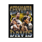 Tableau boxe Gervonta Davis