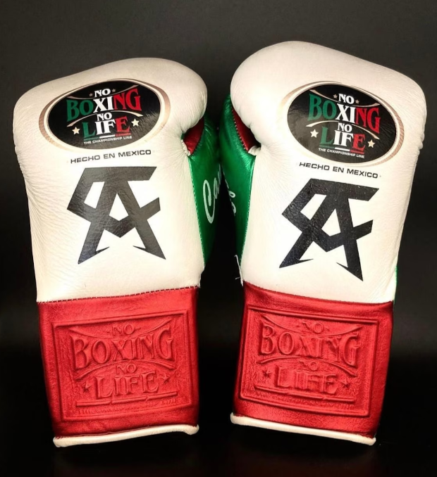 Gants de boxe No Boxing No Life Esprit boxe Esprit Boxe