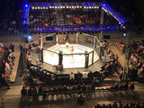 Cage MMA pour compétition UFC
