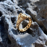 Bague boxe exposée sur rocher