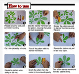 Décoration boxe <br> Stickers Uppercut