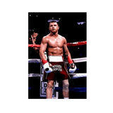 Tableau Canelo Alvarez sur le ring