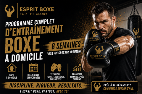 Programme complet d'entraînement boxe à domicile : 8 semaines pour progresser