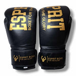 Gants de sparring Esprit Boxe (Noir et Or)