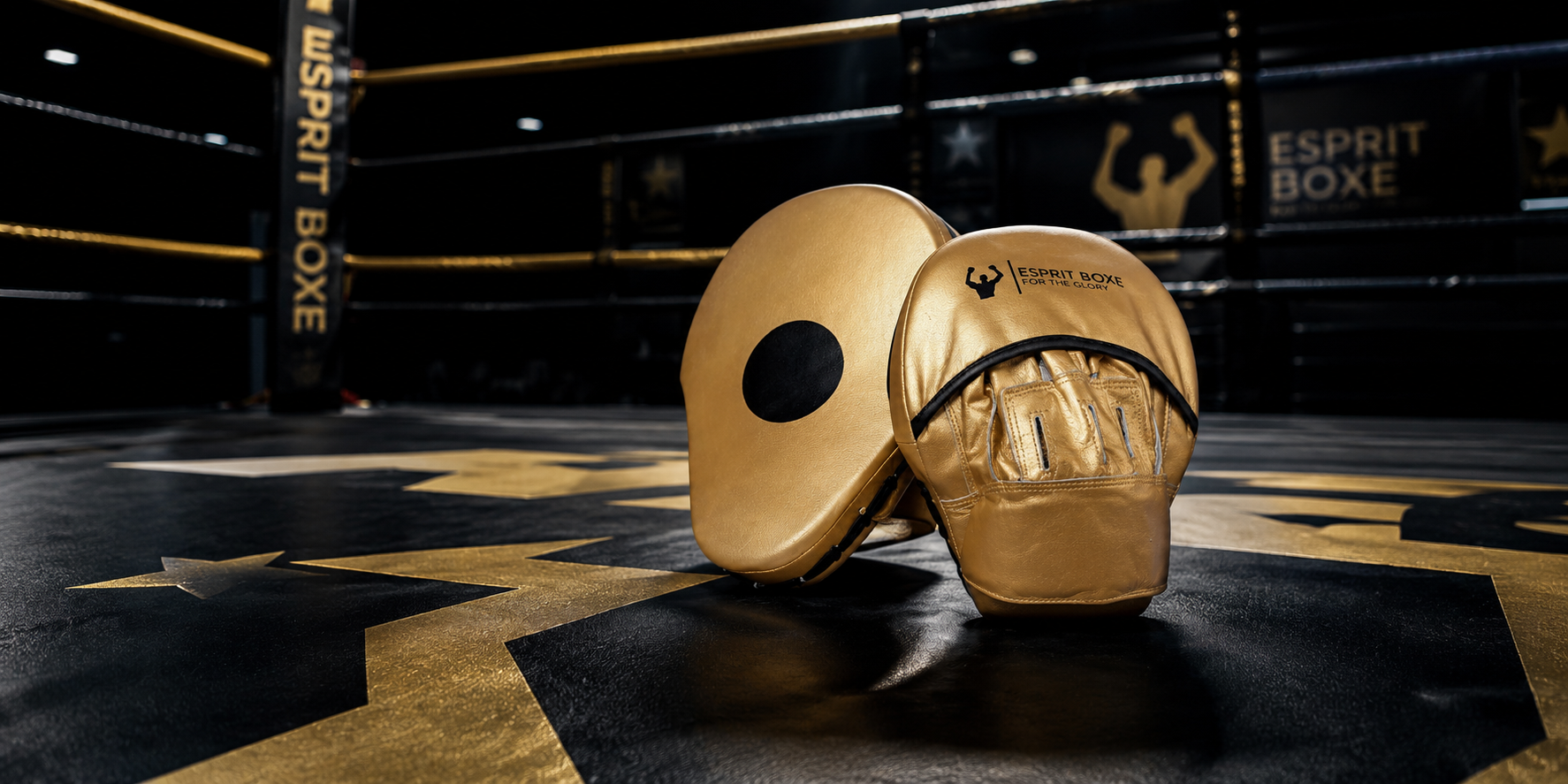 Pattes d'ours de boxe Esprit Boxe : cuir véritable, cuir PU, PAO et boucliers de frappe pour coachs et clubs