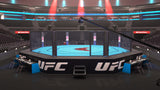 Cage MMA UFC (vue en 3 dimensions)