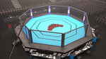 Cage MMA UFC de compétition