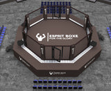 Cage MMA de compétition avec sidewalk rétroéclairé et plateaux TV