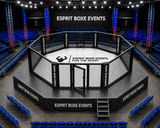 Cage MMA de compétition avec side walk, placée au milieu d'une arène de combat