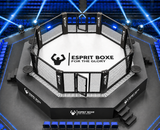 Cage MMA de compétition officielle, avec sidewalk et plateaux TV