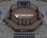 Cage MMA de compétition Esprit Boxe