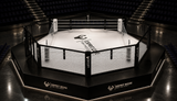 Cage MMA hybdride et ring de boxe au centre d'une arène