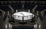 Cage MMA hybdride et ring de boxe au centre d'une arène