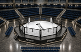 Cage MMA hybdride et ring de boxe au centre d'une arène