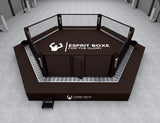 Cage MMA (hexagonale) Esprit Boxe