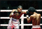 Gants de compétition esprit boxe utilisés lors du premier combat professionnel du boxeur Kevin Bone