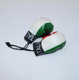Mini gants de boxe - Italie