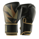 Gants de boxe Fighter 2.0 (Noir et Or)