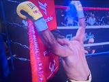 Leonardo Mosquea lors de la défense de son titre WBA