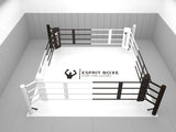 Ring de boxe au sol fixe Esprit Boxe, cordes tendues et coins en similicuir