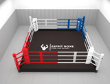 Ring de boxe au sol (démontable)