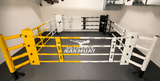 Ring de boxe au sol personnalisé avec poteaux fixés au sol et tapis de sol (flexiroll)