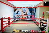 Ring de boxe au sol (fixe)