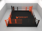Ring de boxe au sol complètement personnalisable