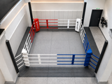 Ring de boxe coulissant Esprit Boxe, profilés métalliques fixés au mur