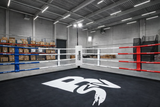 Superbe ring de boxe pro avec éclairage inclus (vue depuis le ring). Finitions Premium.