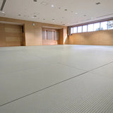 Tatami jjb et judo posé au sol