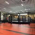 Cage MMA (sur podium) pour un boxing club