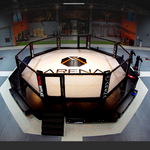 Cage MMA (compétition) UFC