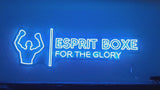 Néon RGB Esprit Boxe - vidéo de présentation