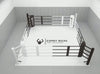 Ring de boxe au sol fixe Esprit boxe. Vidéo de présentation.