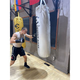 Sac de frappe argenté Esprit Boxe, vue complète
