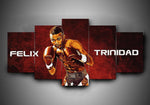Tableau boxe Felix Trinidad (5 pièces)