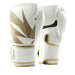 Gants de boxe Fighter 2.0