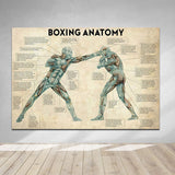 Tableau Boxing Anatomy