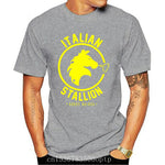 T shirt boxe italian stallion (gris)