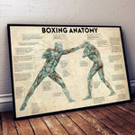 Tableau Boxing Anatomy, affiché dans cabinet du medecin